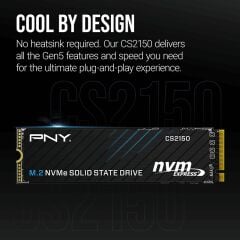 PNY CS2150 1TB 10200/8300 MB/s M.2 NVMe SSD (M280CS2150-1TB-TB)